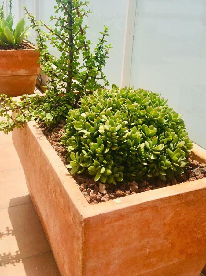 Ferienwohnung Penthouse La Paz 9 - Castle View Moraira Exterior foto